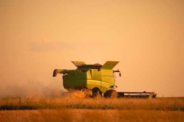 Getreideernte Mähdrescher ernten auf dem Feld