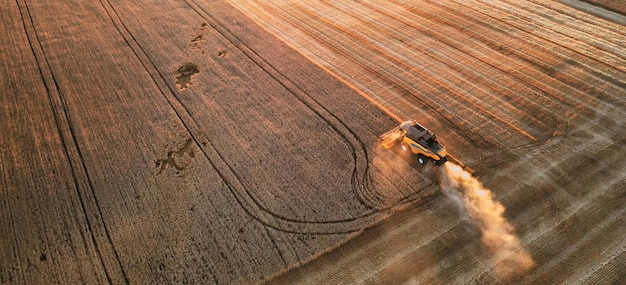 Getreideernte Mähdrescher ernten auf dem Feld