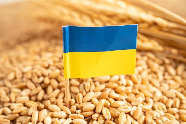 Getreideweizen mit Handelsexport- und Wirtschaftskonzept der ukrainischen Flagge