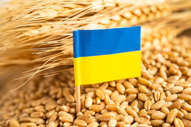 Getreideweizen mit Handelsexport- und Wirtschaftskonzept der ukrainischen Flagge