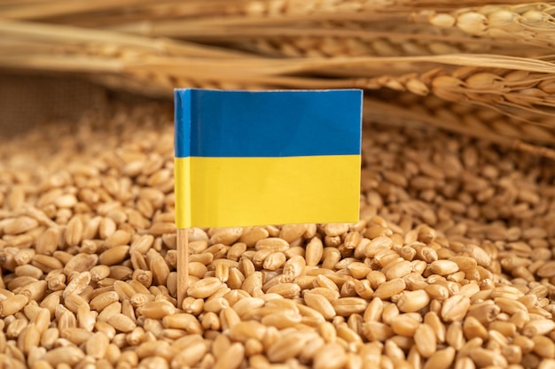 Getreideweizen mit ukrainischer Flagge, Handelsexport und Wirtschaftskonzept.