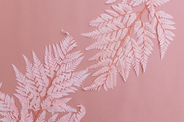 Foto getrocknete blätter auf rosa hintergrund