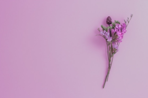 Getrocknete Blume auf rosa Papierhintergrund.