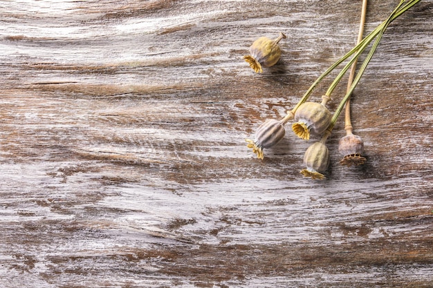 getrocknete Mohnköpfe auf einem Holztisch
