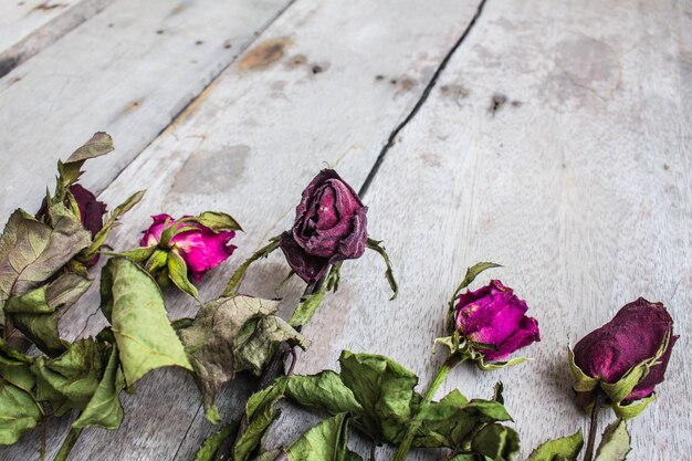 Getrocknete Rosen angeordnet