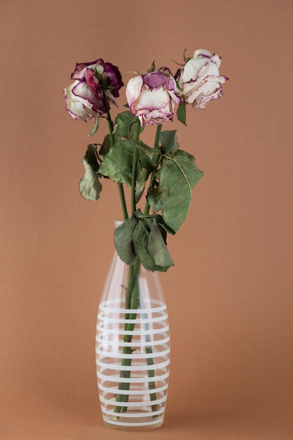 Getrocknete Rosen in einer Vase Kraftverlust Liebe hat das Ende des Lebens Burnout Depression bestanden