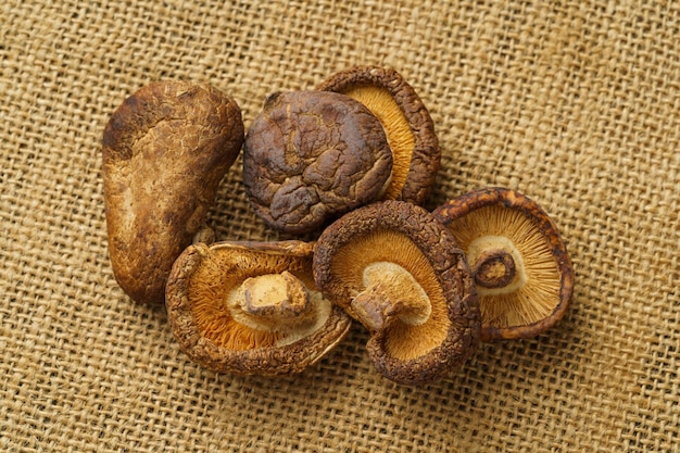 getrocknete Shiitake-Pilze auf monochromem Hintergrund