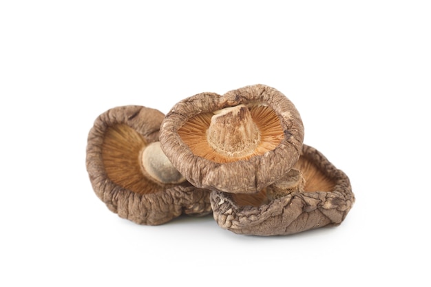 Getrocknete Shiitake-Pilze, isoliert auf weiss.