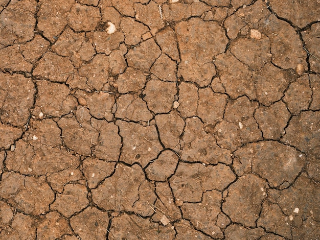 Foto getrocknete und rissige bodenstruktur