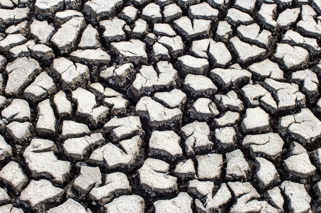 Getrocknete und rissige Bodenstruktur