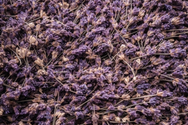 Getrockneter Lavendel in der Nähe Hintergrund Sommerviolette Spa-Blumenpflanze Generate Ai