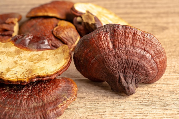 Getrockneter Lingzhi-Pilz mit Kapselarzneimittel-Alternativmedizin-Kräuter-Bio-Kraut