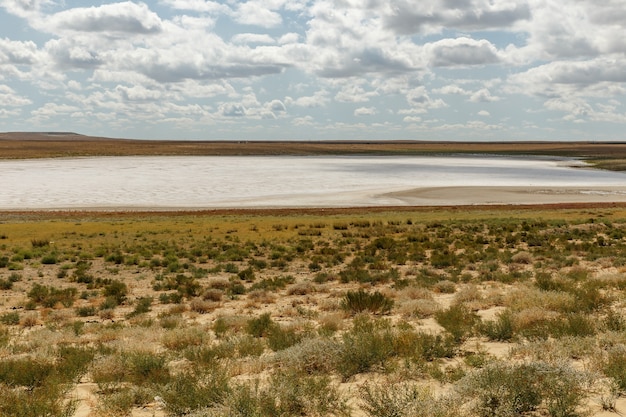 Getrockneter Salzsee in der Steppe von Kasachstan, Bezirk Aral der Region Kyzylorda.