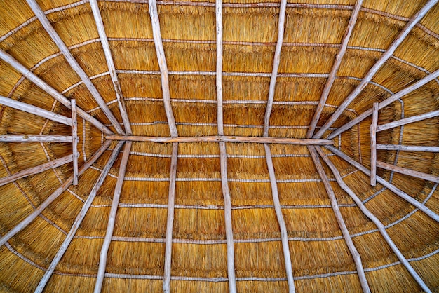 Getrocknetes Gras der Cancun Palapa Dachhütte