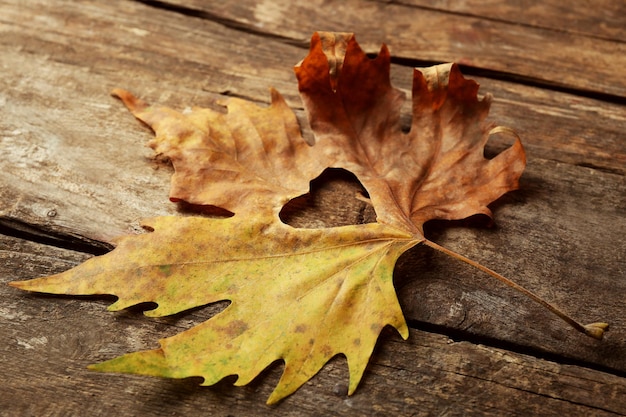 Getrocknetes Herbstblatt mit ausgeschnittenem Herzen auf hölzernem Hintergrund