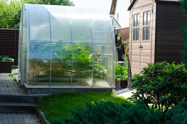 Gewächshaus für den Anbau von Gemüse im Garten in der Nähe des Hauses.