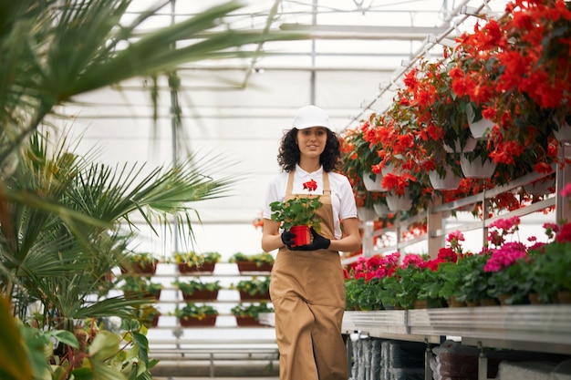 Gewächshausarbeiter in Uniform mit Topf mit roter Blume