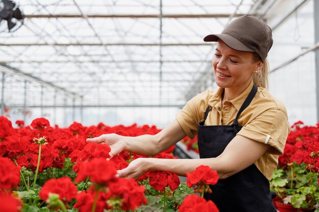 Gewächshausarbeiterin, die sich um Geranienblumen kümmert