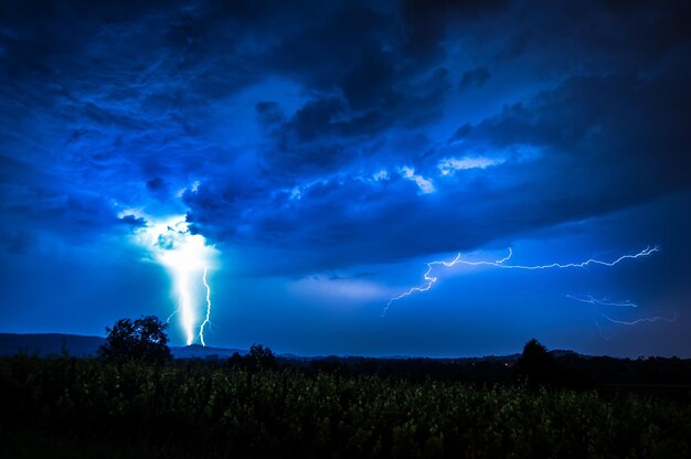 Gewitter y sus derivados