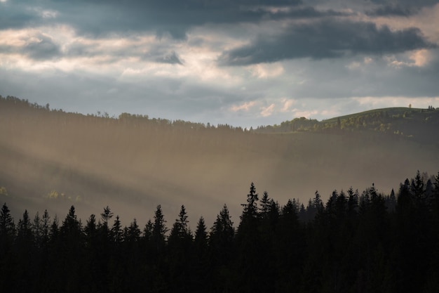 Gewitterwolken über den Bergen und dem Wald während des Sonnenuntergangs