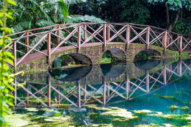 Gewölbte Brücke an einem See mit Reflexion Tansania Afrika Fußgängerbrücke über einen Teich