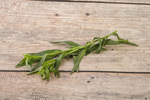 Gewürz aus grünem Estragon für das Kochen