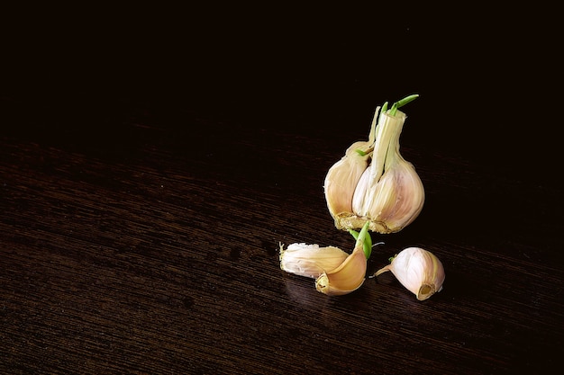 Gewürze und Gewürze. Knoblauch auf dunkel.