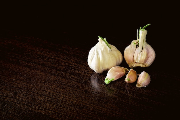 Gewürze und Gewürze. Knoblauch auf dunklem Hintergrund