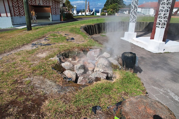 Foto geyser in der stadt rotorua, neuseeland