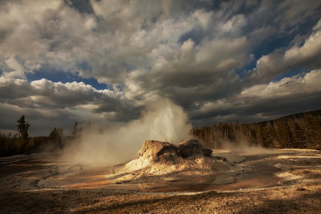 Geysir im Yellowstone