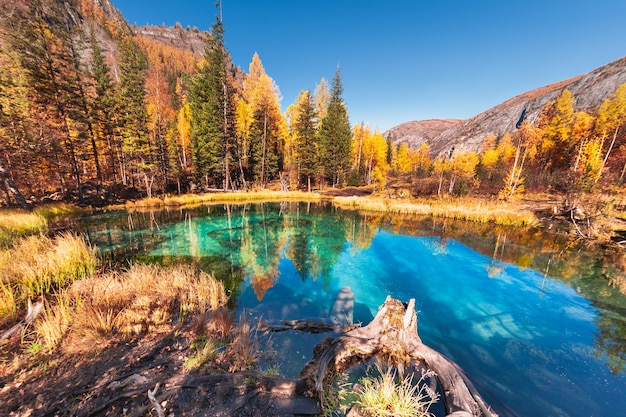 Geysirsee mit türkisfarbenem Wasser im Altai-Gebirge, Sibirien, Russland. Herbstliche Naturlandschaft. Berühmtes Reiseziel