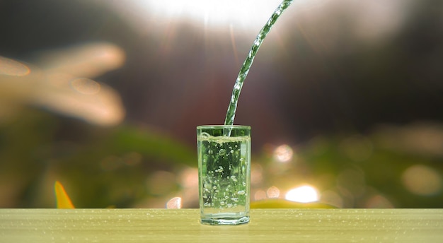 Gießen Sie Wasser in ein klares Glas. Wasser fließt in ein klares zylindrisches Glas. Gartenhintergrund,