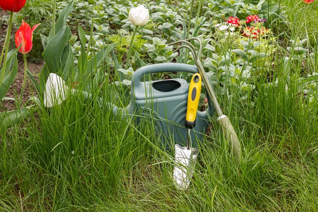 Gießkanne, ein kleiner Rechen und eine Schaufel neben einem Blumenbeet mit grünem Gras