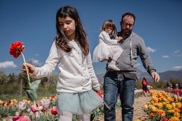 Gilr en cárdigan blanco sosteniendo un tulipán rojo y caminando con su familia en el campo de flores