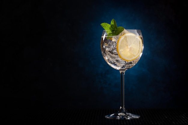 Gin Tonic Cocktail