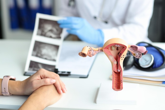 El ginecólogo consulta a la mujer con ecografía del útero Concepto de enfermedades ginecológicas del sistema reproductivo femenino