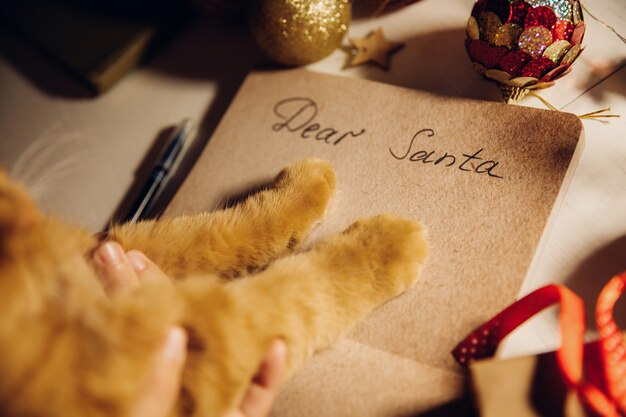 Ginger cat escribe una carta a Santa Claus, sobre la mesa con una guirnalda navideña. Copie el espacio. Año nuevo. Navidad
