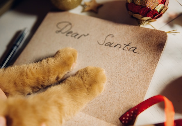 Ginger cat escribe una carta a Santa Claus, sobre la mesa con una guirnalda navideña. Copie el espacio. Año nuevo. Navidad