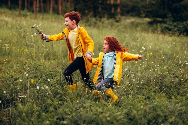 Ginger-Geschwister laufen zusammen im Feld