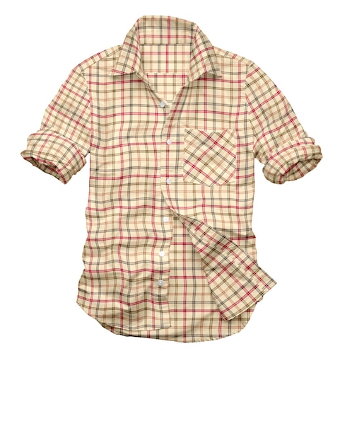 Gingham chequear la camisa moderna