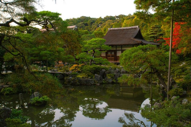 Foto ginkakuji (en inglés)