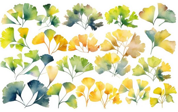 El ginkgo de acuarela deja clipart para recursos gráficos IA generativa