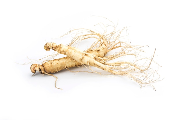 Ginseng aislado sobre un fondo blanco