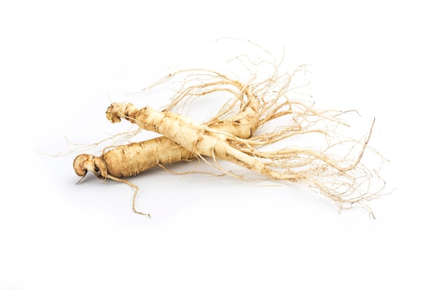 Foto ginseng aislado sobre fondo blanco.