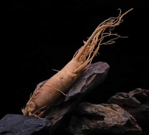 Ginseng fresco coreano em pedra preta