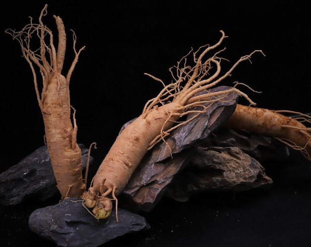 Foto ginseng fresco coreano em pedra preta