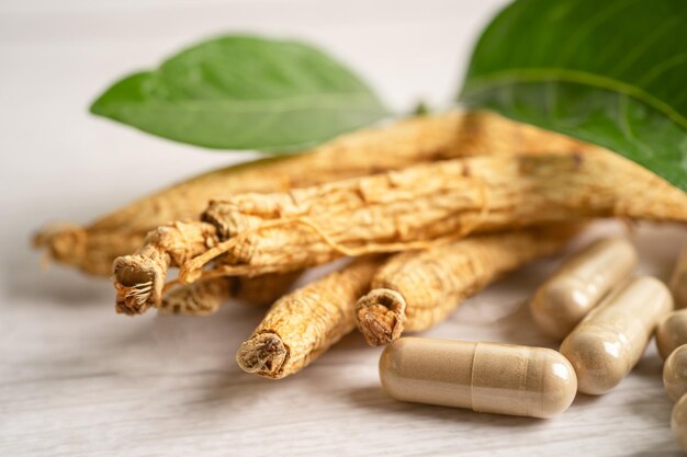 Ginseng, getrocknetes Gemüsekraut. Gesundes Essen, berühmtes Exportlebensmittel in Korea.