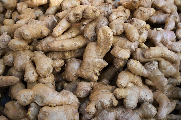 Ginseng-Ingwer wurzelt Hintergrundmuster