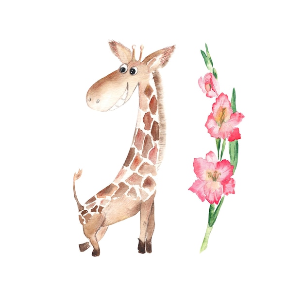 Girafa fofa com flor de gladíolo rosa isolada em fundo branco Ilustração desenhada à mão em aquarela