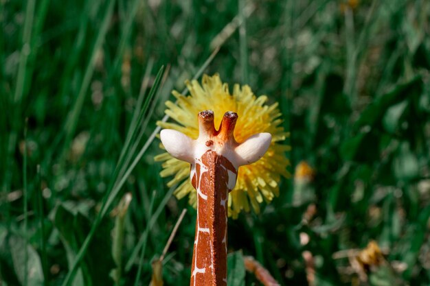 Girafa realista de brinquedo cheirando dente de leão amarelo